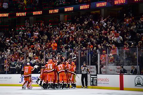 Anaheim Ducks celebrate a goal