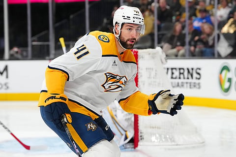 Nashville Predators in action