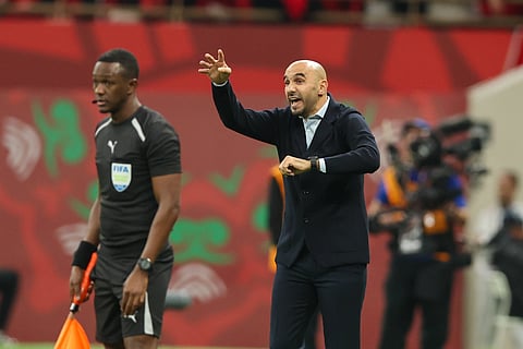 Walid Regragui during the Africa Cup of Nations quarterfinal vs Cameroon