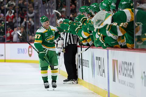 Minnesota Wild celebrate during a game