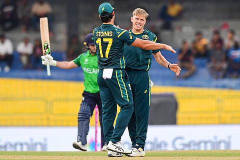 Nathan Ellis celebrates after taking a wicket against Ireland