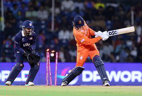 Harmeet Singh takes the wicket of Netherlands skipper Scott Edwards