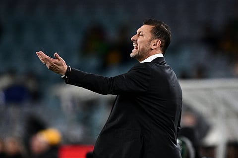 Tony Popovic gestures during Australia vs Cameroon