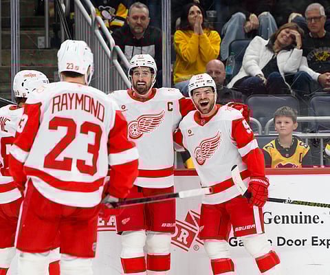 Detroit Red Wings players celebrates a goal