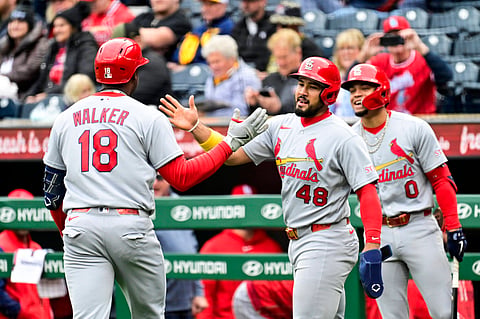St. Louis Cardinals players celebrate after hitting a two-run homer