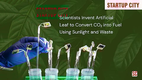 Scientists Develop Artificial Leaf That Converts CO₂ into Fuel Using Photosynthesis Principles