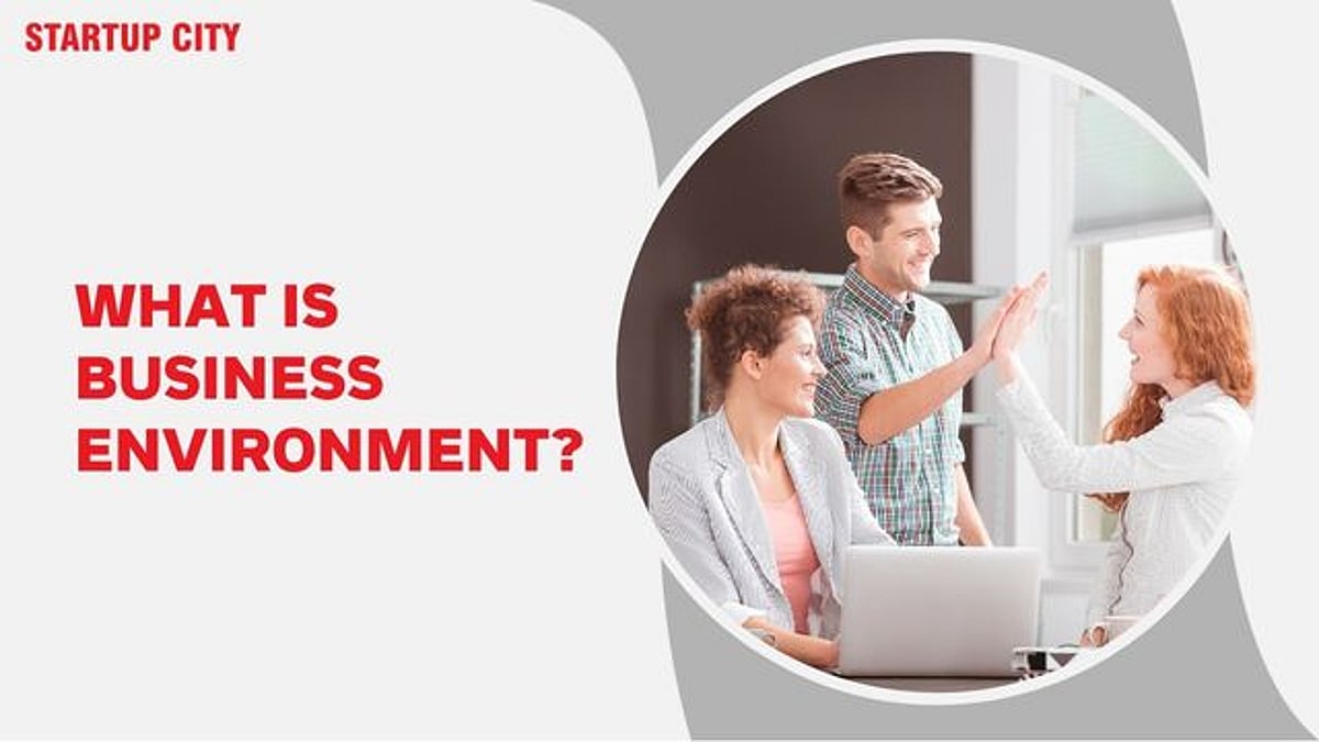 What is a Business Environment?