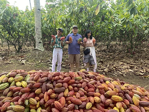 Cacao Culture: Championing sustainable cacao farming in Davao 