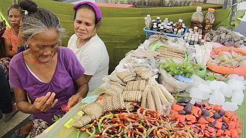 [FRANCIS RYAN PABIANIA PHOTO]