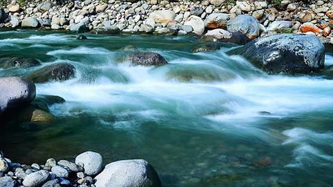 Travel vlogger called out for 
endangering city watershed