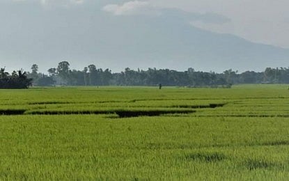 Negros Occidental Prepares for El Niño Response to Aid Farmers - Vimarsana News