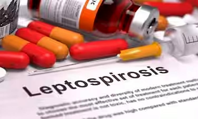 Free Leptospirosis Meds and Anti-Tetanus Vaccines for Flood-Affected Residents in Davao City | Emergency Relief Available - Vimarsana News