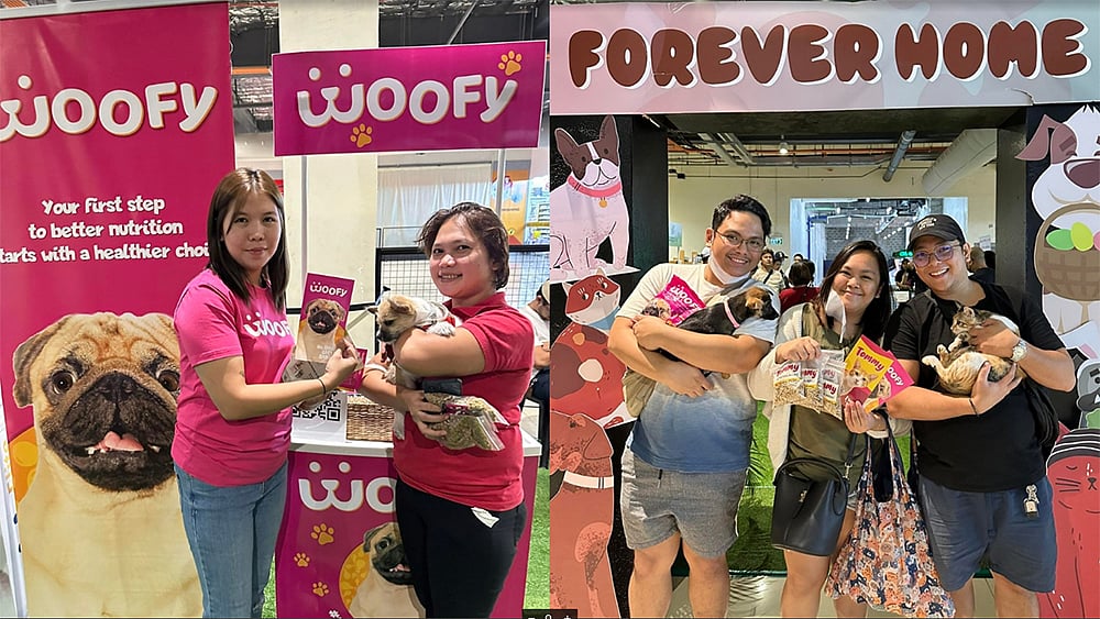 Pawsitivity in action: Pilmico and Gold Coin's 'Woofy' supports animal shelters - Vimarsana News