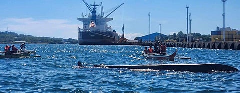 Passengers of capsized 
motor banca rescued