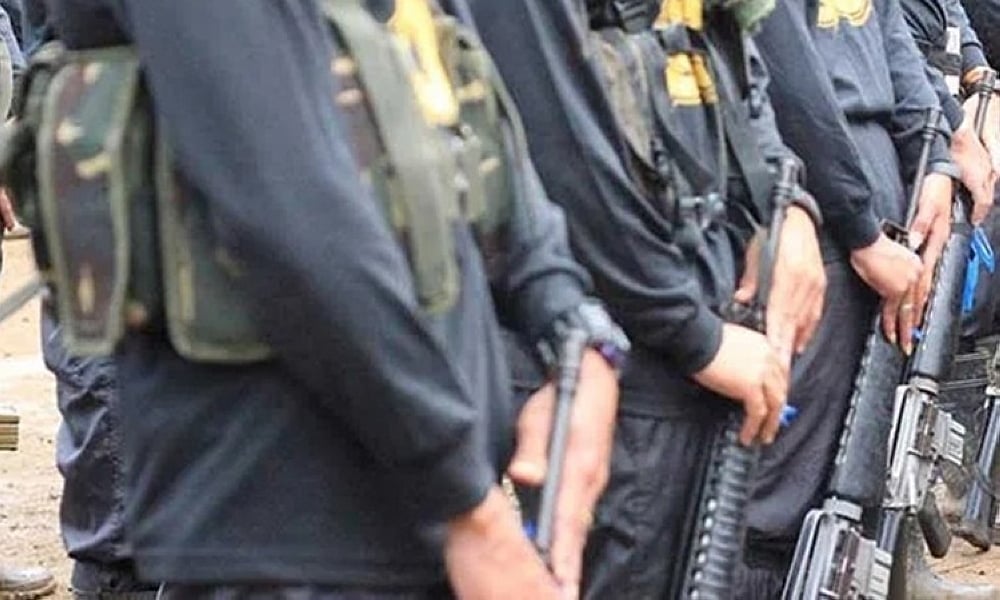 343 NPA-Infested Communities Cleared in Visayas: Army Official - Vimarsana News