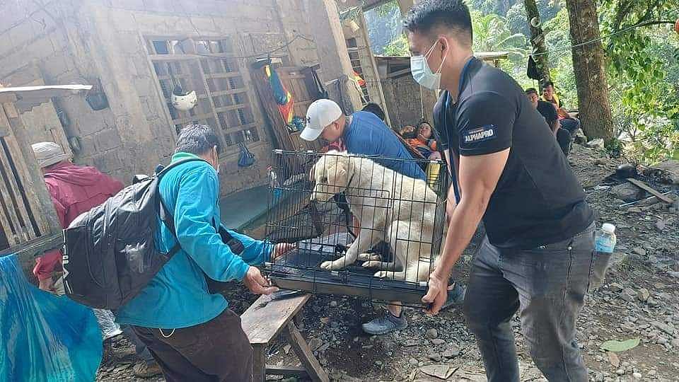 Animal rescue heroes in Davao de Oro disaster zone - Vimarsana News