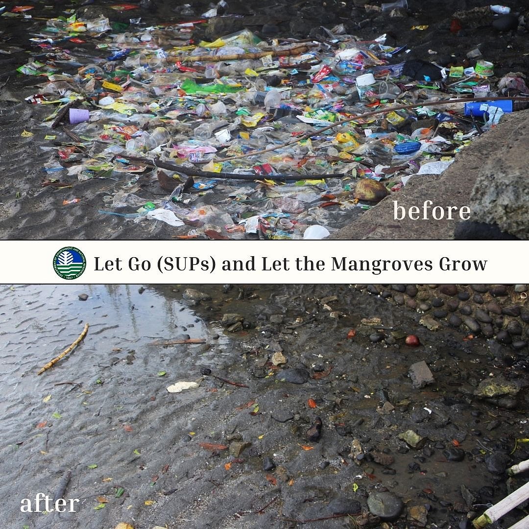 Negros Occidental PENRO Leads Mangrove Planting & Waste Cleanup in Bago City - Vimarsana News