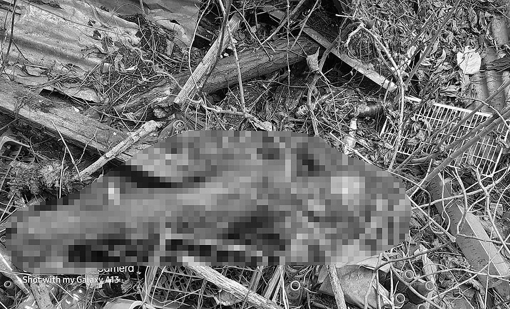 Mom okays police request for son's autopsy - Vimarsana News