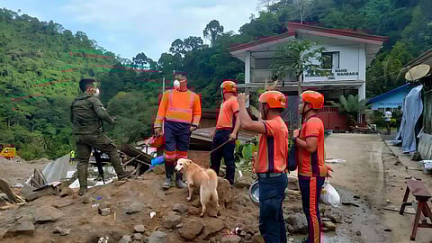 Appa the dog ‘rescues’ girl