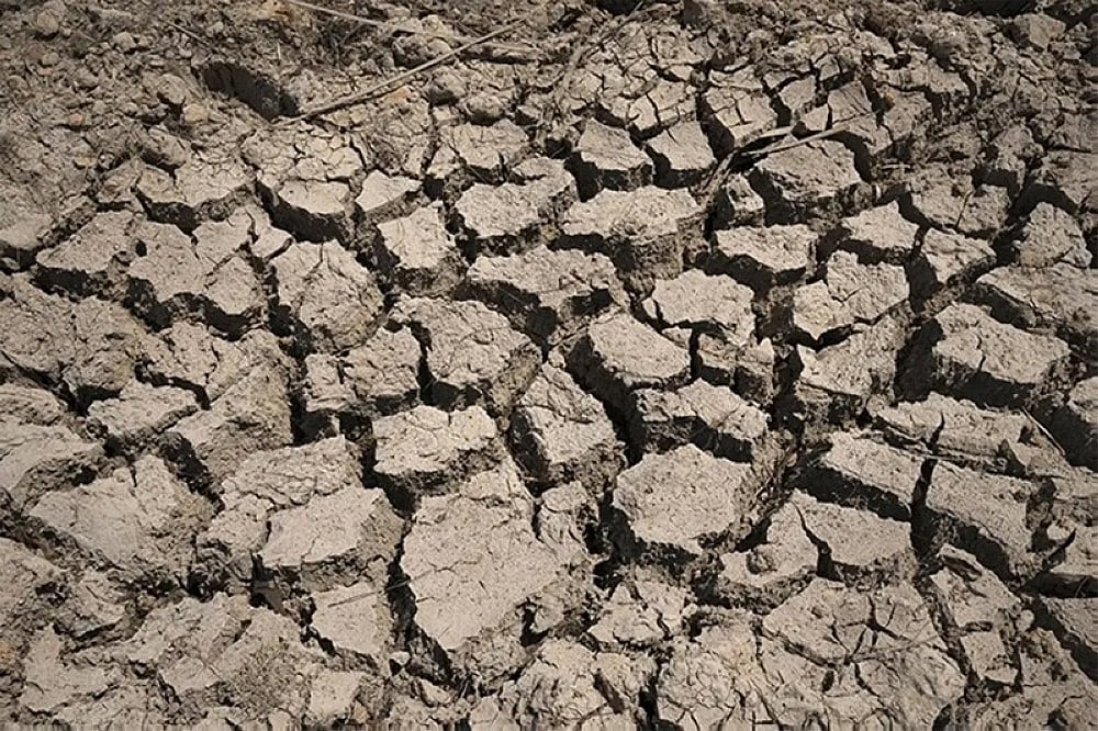 Dry Spell in NegOcc Causes P25M Agricultural Damage: El Niño Impact Grows - Vimarsana News