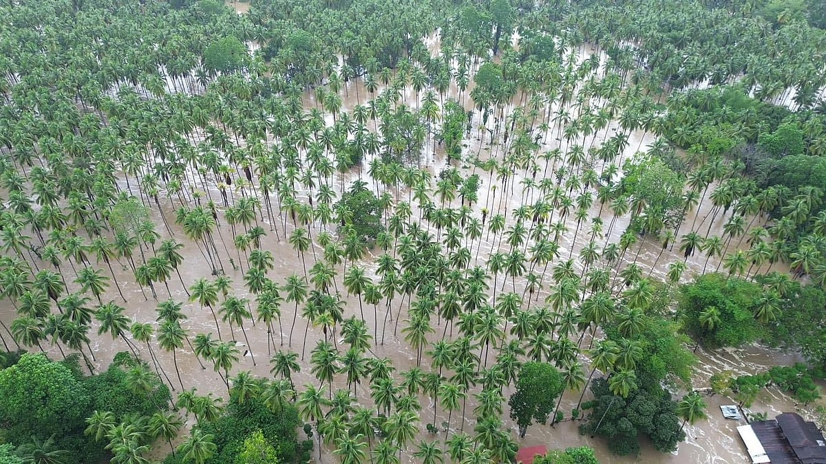 P290-M agri damages due to flooding, landslides - Vimarsana News