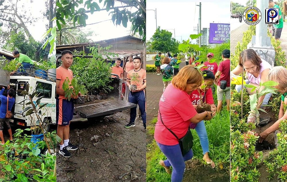 20,000 more seedlings for greener Iloilo City - Vimarsana News
