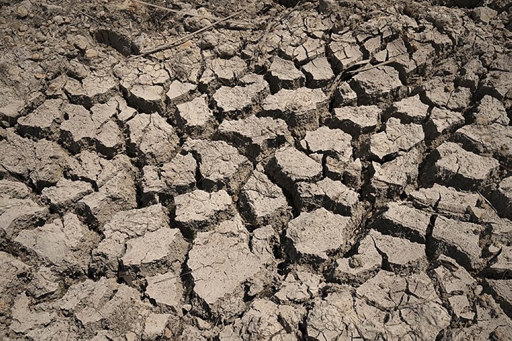 Farmers, coops in Negros report 10% drop in production due to El Niño - Vimarsana News
