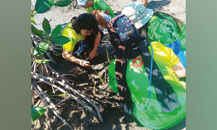 ALS students plant mangroves - Vimarsana News