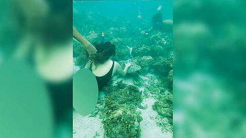 TOUCHING TURTLE. This screenshot of a viral video shows a female tourist snorkeling in Moalboal, southwestern Cebu touching a turtle on March 9, 2024. Snorkeling regulations in the municipality strictly prohibit touching turtles and other sea creatures. / CLAUDINE FLORES