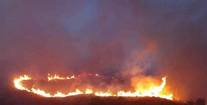 Grass fire erupts in Dalaguete town - Vimarsana News