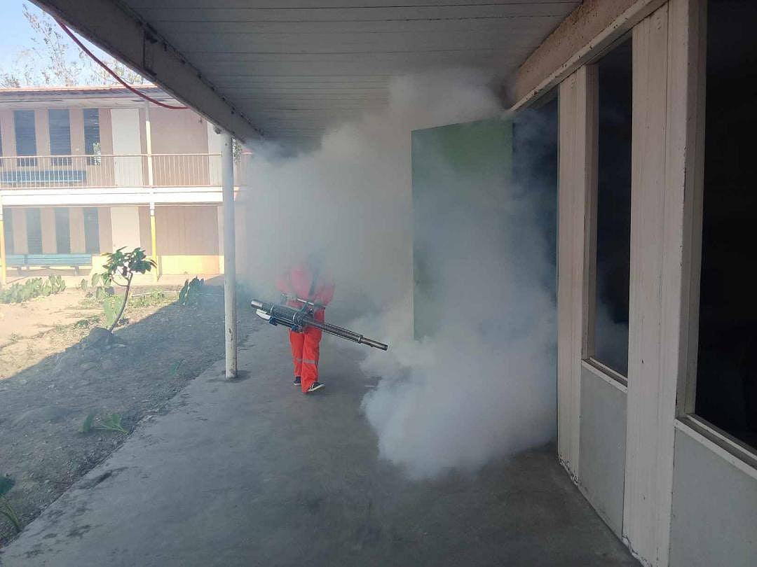Dengue cases in Bacolod down by 25% - Vimarsana News