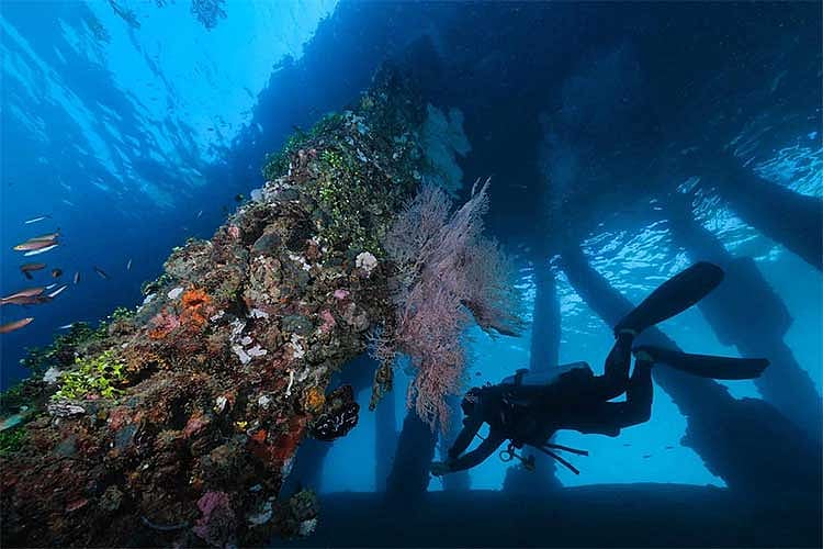 Dive spot in Asturias boosts town's tourism industry - Vimarsana News
