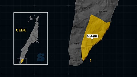 Van midasmag sa barrier, 1 patay