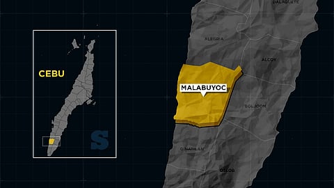 BHW, live-in partner fall in PDEA sting