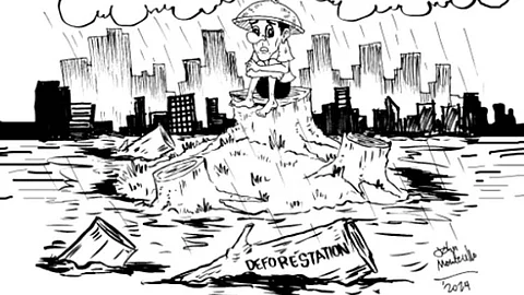 Editorial: Missing the forests