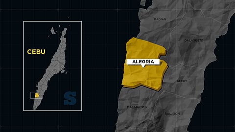 Turista sa Alegria nabitik sa kable, samdan   