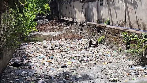 Kampanya batok sa kahugaw sa mga sapa, panawagan ni Konsehal Arcilla