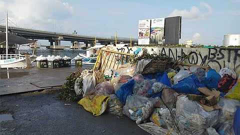 Binanyerang isda duol sa basura