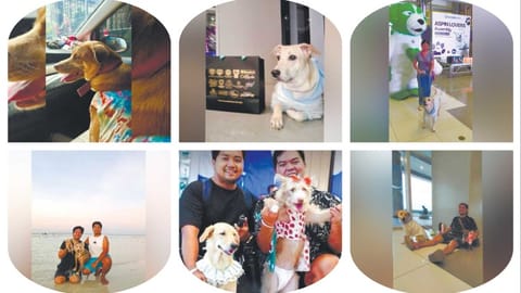 Cebuano furparents stand up to breed bias