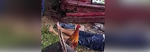 2 persons shot dead in Carcar City