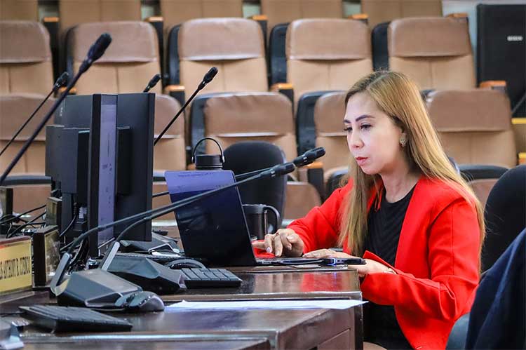 Councilor urges more parks in Cebu City