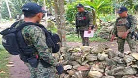 Maritime cops, Mafar seize P45-M giant clam shells