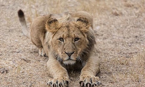 Daily Bible Reading – December 17, 2024