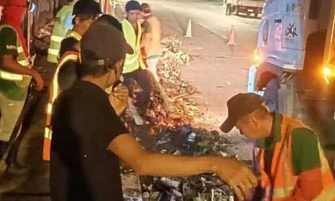 Let’s celebrate a ‘green Christmas’