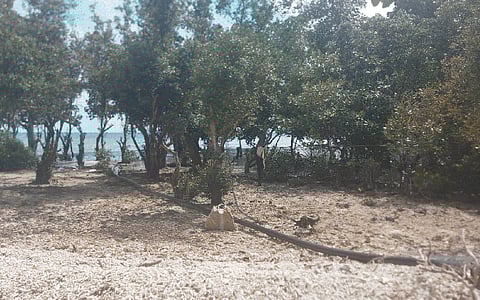 Cabugan Island residents benefit from improved water access