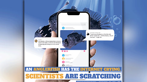 An Anglerfish has the internet crying, Scientists are...