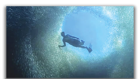 Central Visayas logs 7.5M tourists in 2024