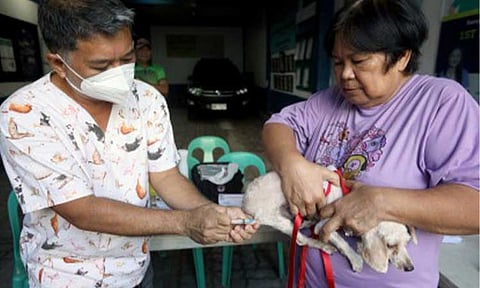 SAFE PETS. Residents queue to avail of the free anti-rabies vaccination for their pets at Barangay 735, District 5, in Malate, Manila on Aug. 7, 2024. The Department of Health on Saturday (March 15, 2025) said it recorded 55 rabies cases from Jan. 1 to March 1 this year, a 39-percent decrease compared to the 90 cases recorded during the same period last year. (PNA photo by Yancy Lim)