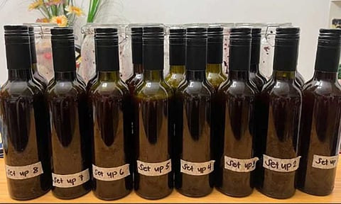 Tapuy rice wine fermentation yields possible anti-aging superfood