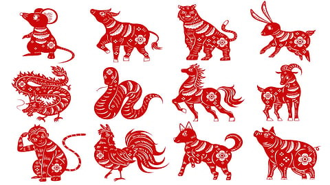 Fashion Zodes 2025: Chinese Zodiac Edition 